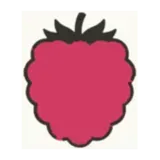 Raspberry Post logo
